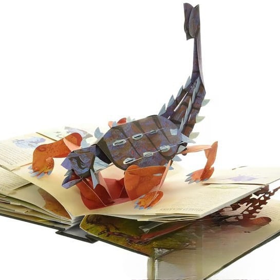 ⏰Wöchentliche Sonderaktion: 60% Rabatt🦖3D-Enzyklopädie Prehistorica Dinosaurs📙HARDCOVE