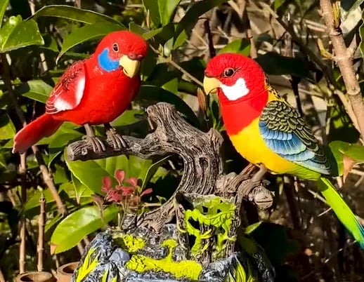 ⏳Begrenzte Zeit 50% Rabatt💥🦜Elektrische batteriebetriebene Sprachsteuerungs-Papageien