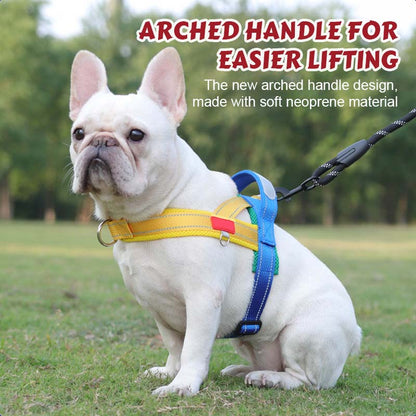 Hundesele + gratis bånd på 1,5 m x 1,0 m